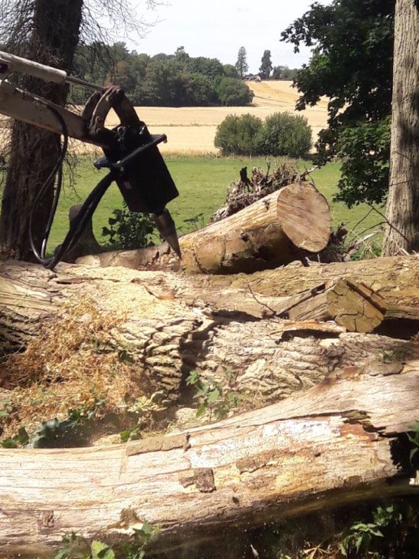 3 shires logs - log cutting