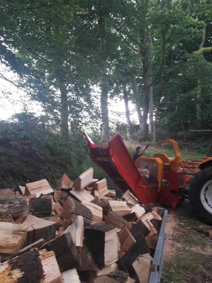 3 shires logs - log cutting