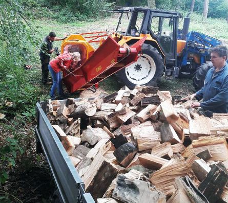 cutting high quality logs