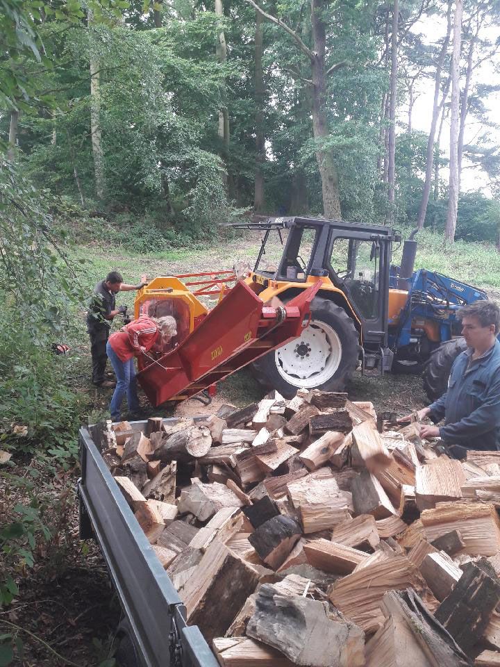 3 shires logs - log cutting