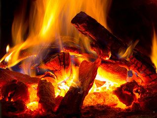 3 shires logs - burning logs